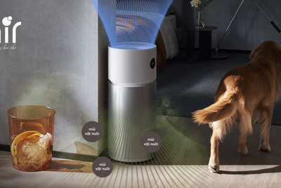 Top 7 máy lọc không khí giúp khử mùi và hút lông vật nuôi