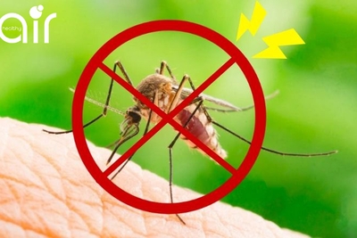 8+ Cách đuổi và diệt muỗi hiệu quả nhất để phòng tránh các loại virus gây bệnh