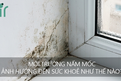 Môi trường ẩm mốc ảnh hưởng tới sức khỏe như thế nào?