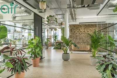Tác dụng của việc trồng cây xanh trong văn phòng như thế nào?