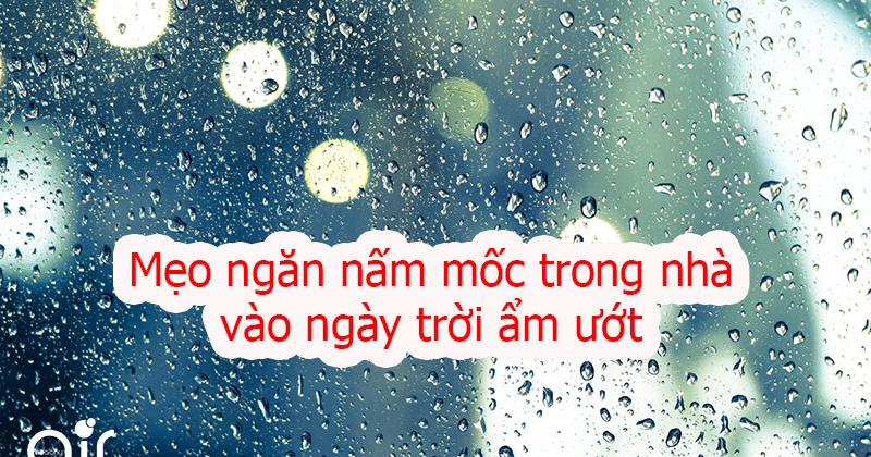 10 mẹo ngăn nấm mốc trong nhà vào ngày trời ẩm ướt ở Hà Nội