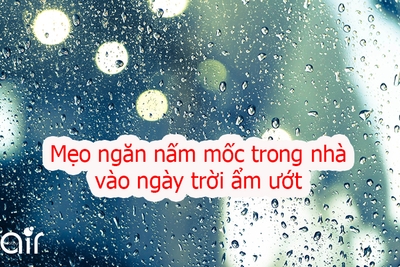 10 mẹo ngăn nấm mốc trong nhà vào ngày trời ẩm ướt ở Hà Nội