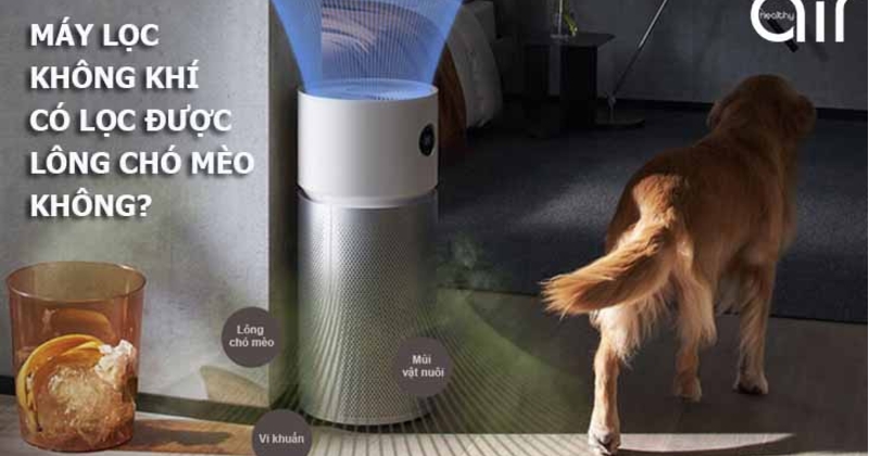 [THẮC MẮC] - Máy lọc không khí có hút được lông chó mèo không?