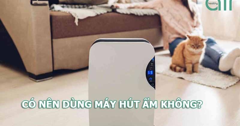Có nên mua máy hút ẩm hay không? 5 tiêu chí chọn mua