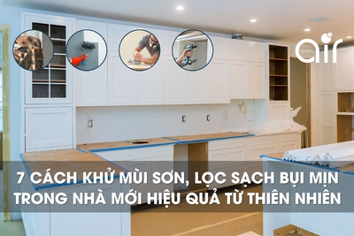 7 cách khử mùi sơn, lọc bụi mịn trong nhà mới hiệu quả từ thiên nhiên