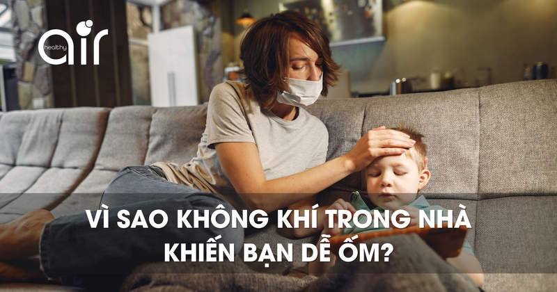Vì sao không khí trong nhà khiến bạn dễ ốm?