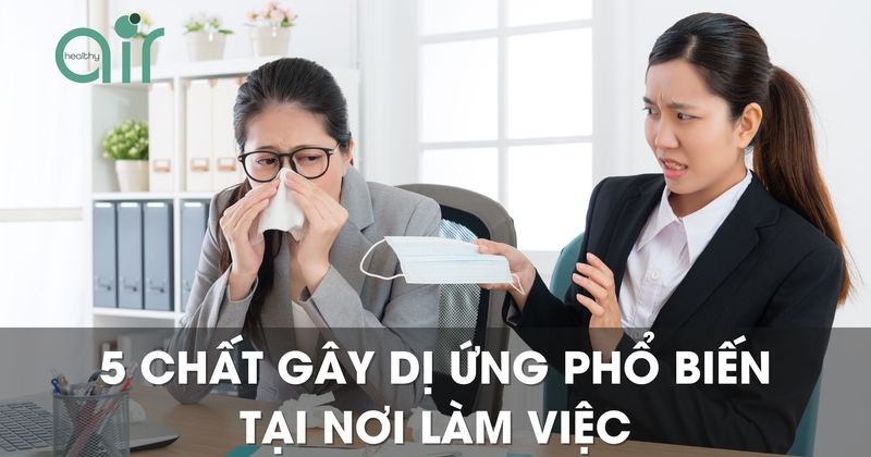 5 chất gây dị ứng phổ biến tại nơi làm việc và cách phòng tránh