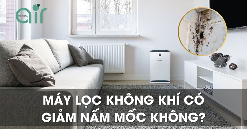 Máy lọc không khí có giảm nấm mốc không?