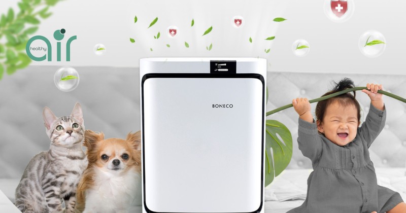 Cách lọc mùi thú cưng hiệu quả với bộ lọc chuyên biệt