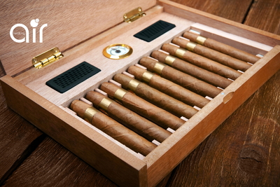 Máy tạo ẩm cho phòng cigar - Giữ trọn hương vị với độ ẩm lý tưởng