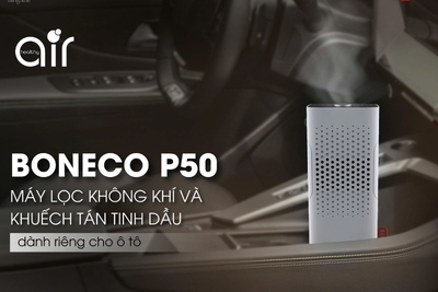 Cách xử lý mùi ẩm mốc trong xe hơi mùa mưa