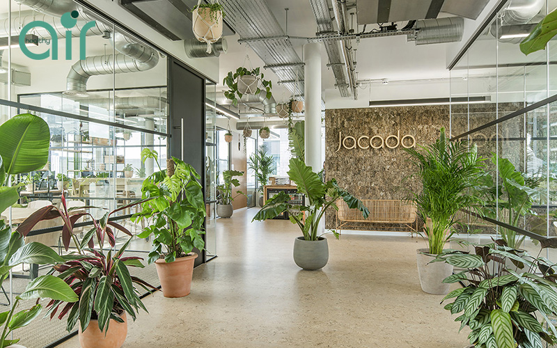 Tác dụng của việc trồng cây xanh trong văn phòng như thế nào?